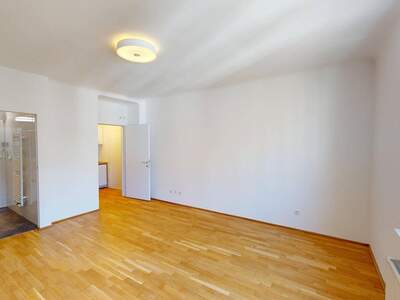 Wohnung kaufen in 1010 Wien