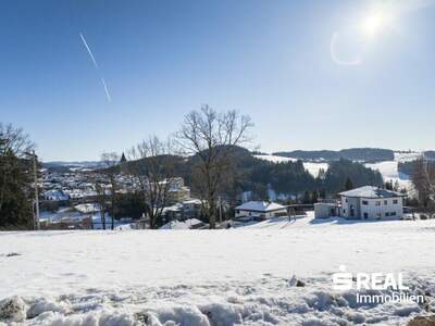 Grundstück kaufen in 4170 Haslach (Bild 2)