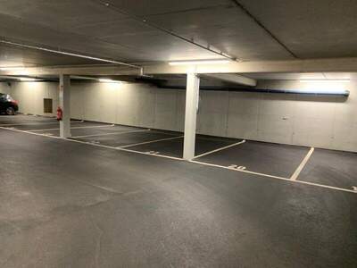 Halle / Lager / Produktion mieten in 2353 Guntramsdorf (Bild 2)