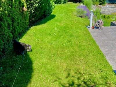 Haus mit Garten kaufen in 2344 Maria Enzersdorf (Bild 5)