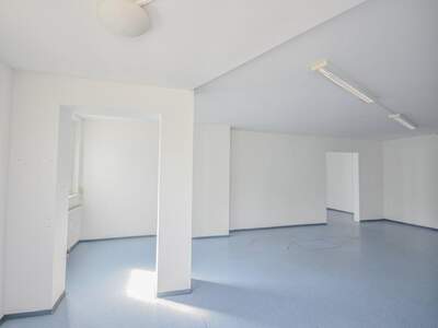 Gewerbeobjekt mieten in 1230 Wien (Bild 4)