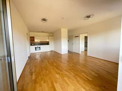 Wohnung provisionsfrei mieten in 7100 Neusiedl