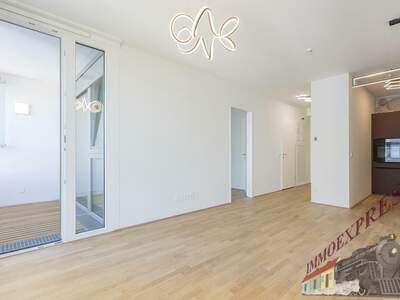 Terrassenwohnung mieten in 1220 Wien (Bild 3)