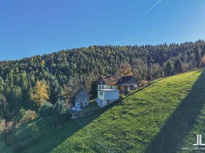 Gewerbeobjekt kaufen in 8570 Kleinwöllmiß (Bild 2)