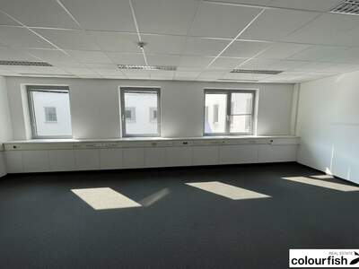 Gewerbeobjekt mieten in 1060 Wien (Bild 5)