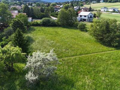 Gewerbeobjekt kaufen in 2753 Dreistetten