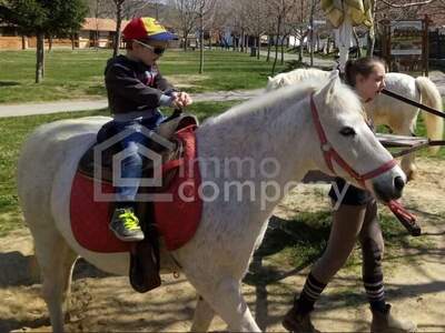 Grundstück kaufen in 7321 Raiding