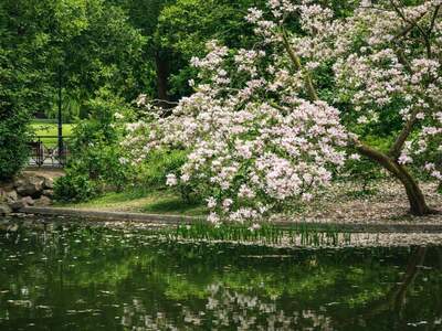 Eigentumswohnung in 1180 Wien