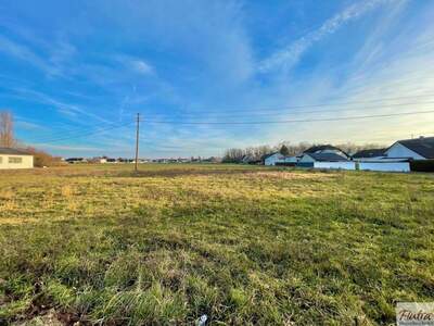 Grundstück kaufen in 4614 Marchtrenk (Bild 3)