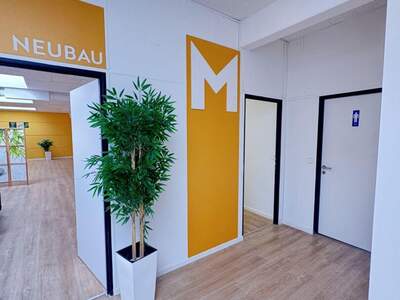 Gewerbeobjekt mieten in 4063 Hörsching (Bild 2)