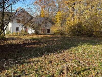 Grundstück kaufen in 4786 Brunnenthal