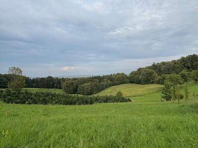 Grundstück kaufen in 8434 Maxlon (Bild 4)