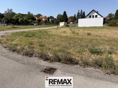 Grundstück kaufen in 3433 Königstetten (Bild 2)