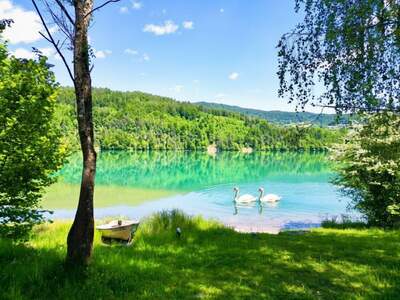 Haus kaufen in 9181 Feistritz