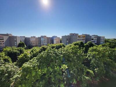 Terrassenwohnung kaufen in 2514 Traiskirchen (Bild 2)