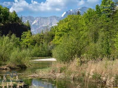 Grundstück kaufen in 5421 Adnet (Bild 3)
