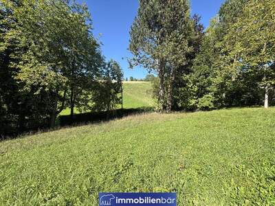 Grundstück kaufen in 4752 Berg