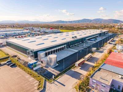 Gewerbeobjekt mieten in 2512 Tribuswinkel