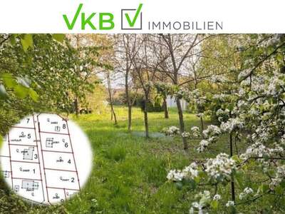 Grundstück kaufen in 4211 Spattendorf