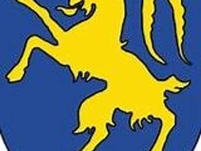 Grundstück kaufen in 6845 Hohenems (Bild 1)