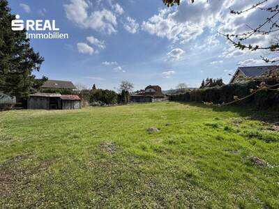 Grundstück kaufen in 3424 Zeiselmauer (Bild 3)