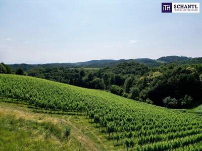 Grundstück kaufen in 8462 Gamlitz (Bild 3)