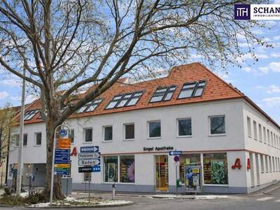 Terrassenwohnung kaufen in 2514 Traiskirchen (Bild 2)