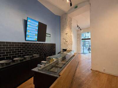 Gewerbeobjekt mieten in 1060 Wien (Bild 5)