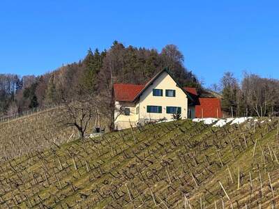 Haus kaufen in 8463 Leutschach