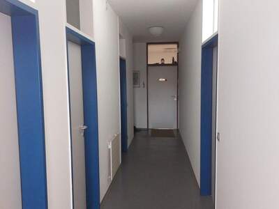 Gewerbeobjekt mieten in 4070 Eferding (Bild 5)