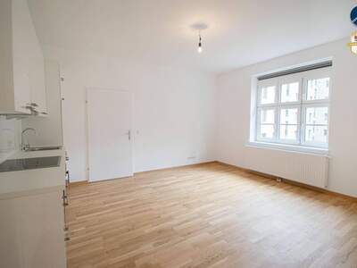 Wohnung mieten in 3500 Krems