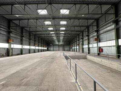 Gewerbeobjekt kaufen in 2700 Wiener Neustadt (Bild 2)