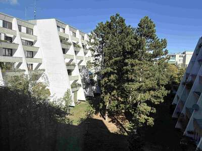 Wohnung mieten in 2380 Perchtoldsdorf (Bild 1)