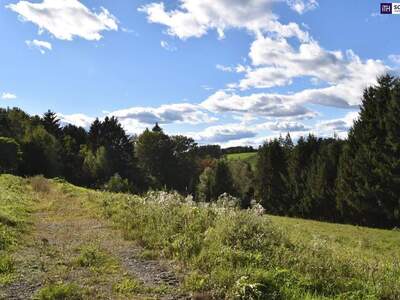 Grundstück kaufen in 8010 Kainbach