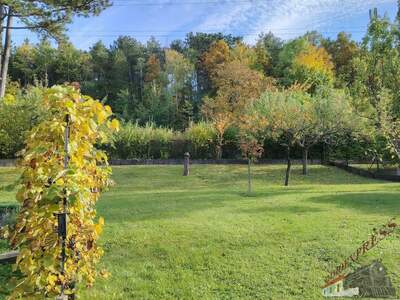 Einfamilienhaus kaufen in 2632 Grafenbach (Bild 3)
