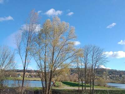 Shared flat provisionsfrei mieten in 8521 Wettmannstätten