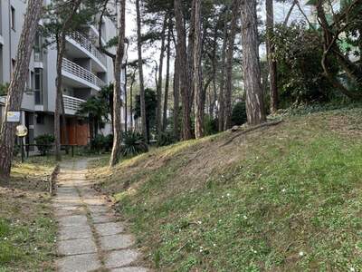 Gewerbeobjekt kaufen in 33054 Lignano Pineta (Bild 2)