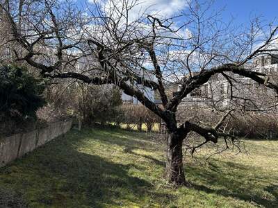 Grundstück kaufen in 2345 Brunn (Bild 3)