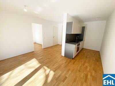 Terrassenwohnung mieten in 1110 Wien (Bild 5)