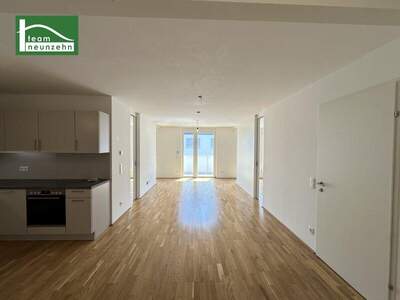 Terrassenwohnung mieten in 1220 Wien (Bild 1)