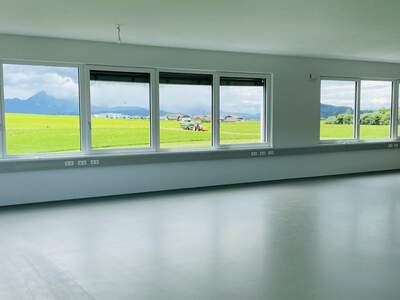 Gewerbeobjekt mieten in 5300 Hallwang (Bild 1)