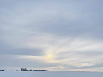 Haus kaufen in 4203 Urfahr Umgebung