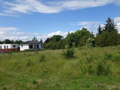 Grundstück kaufen in 2020 Hollabrunn