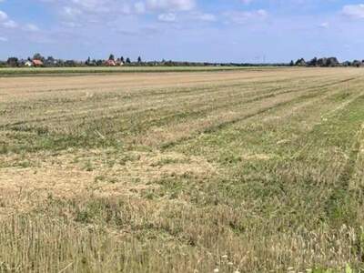 Grundstück kaufen in 2230 Gänserndorf