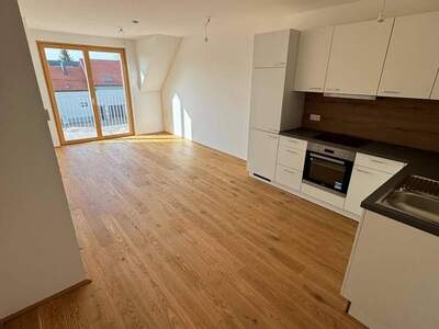 Wohnung provisionsfrei mieten in 1220 Wien