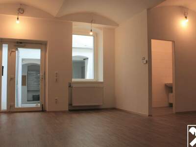 Gewerbeobjekt mieten in 4040 Linz (Bild 4)