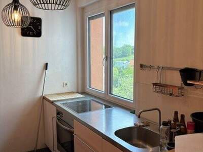 Wohnung mieten in 4910 Ried (Bild 1)