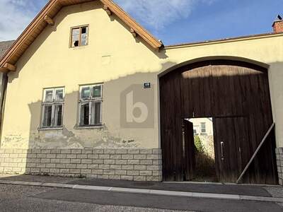 Bauernhaus kaufen in 7072 Mörbisch (Bild 1)