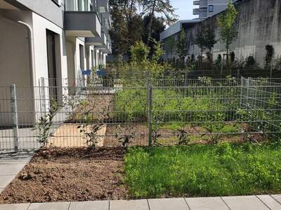 Mietwohnung in 4600 Wels (Bild 2)