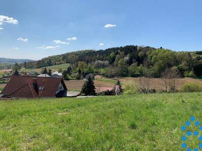 Grundstück kaufen in 7551 Stegersbach (Bild 2)